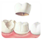 maxillofacial surgeon